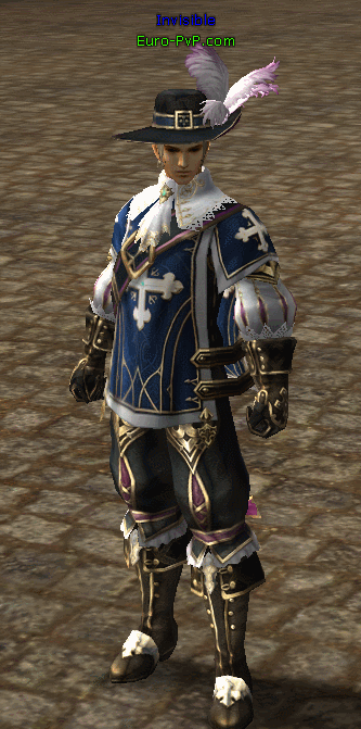 musketeer_blue.gif